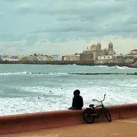 6686体育铜牌作者暖意序言