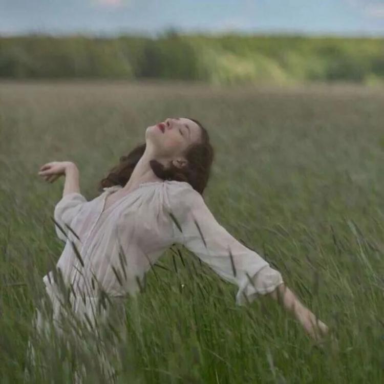 6686体育钻石作者九命猫