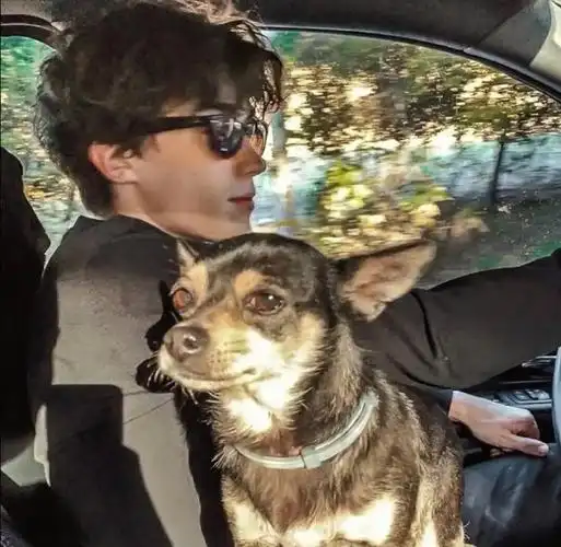 6686体育官方作者无名先生