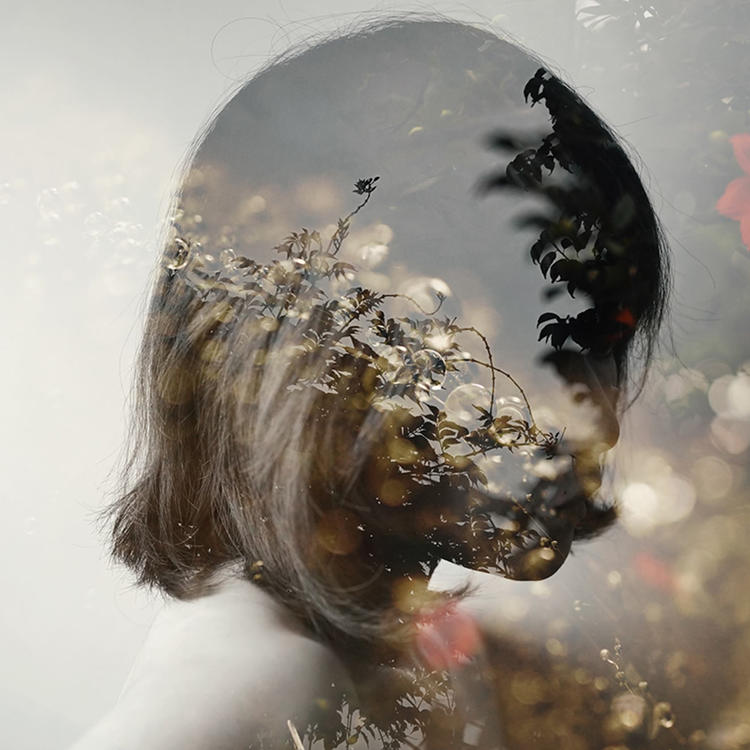 6686体育银牌作者Phoebe