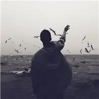 6686体育官方作者Alice