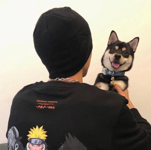 6686体育签约作者Mavis