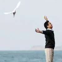 6686体育铁牌作者Paul